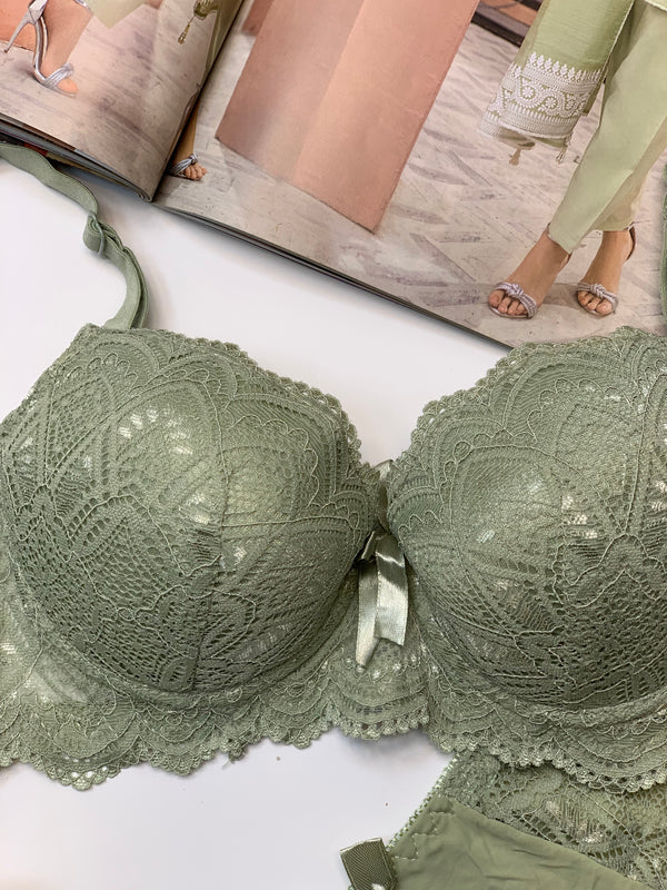 Elegant Padded Pushup Wired Bra set